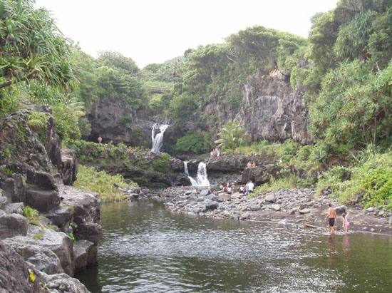 P8130528