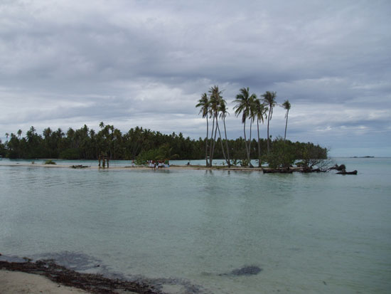 PB142532