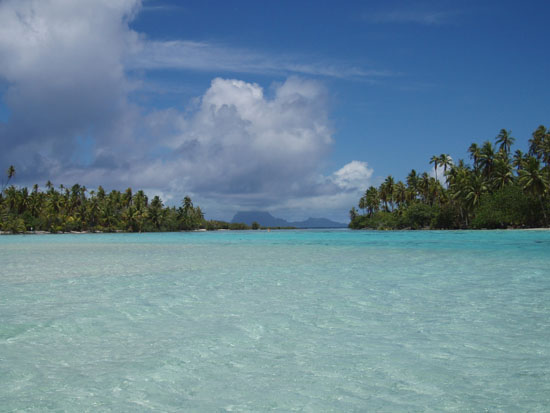 PB152561